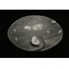 Goniatite Ammonite, Decorative dish 5×3 Prehistoric Online