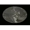 Goniatite Ammonite, Decorative dish 5×3 Prehistoric Online