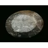 Goniatite Ammonite, Decorative dish 5×3 Prehistoric Online