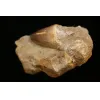 Mosasaur tooth in matrix, Morocco, 3 1/4 inch in sandstone Prehistoric Online