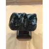 Mastodon Tooth, Florida Prehistoric Online