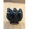 Mastodon Tooth, Florida Prehistoric Online