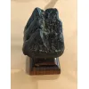 Mastodon Tooth, Florida Prehistoric Online