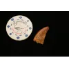 Carcharodontosaurus tooth, 1 inch Prehistoric Online