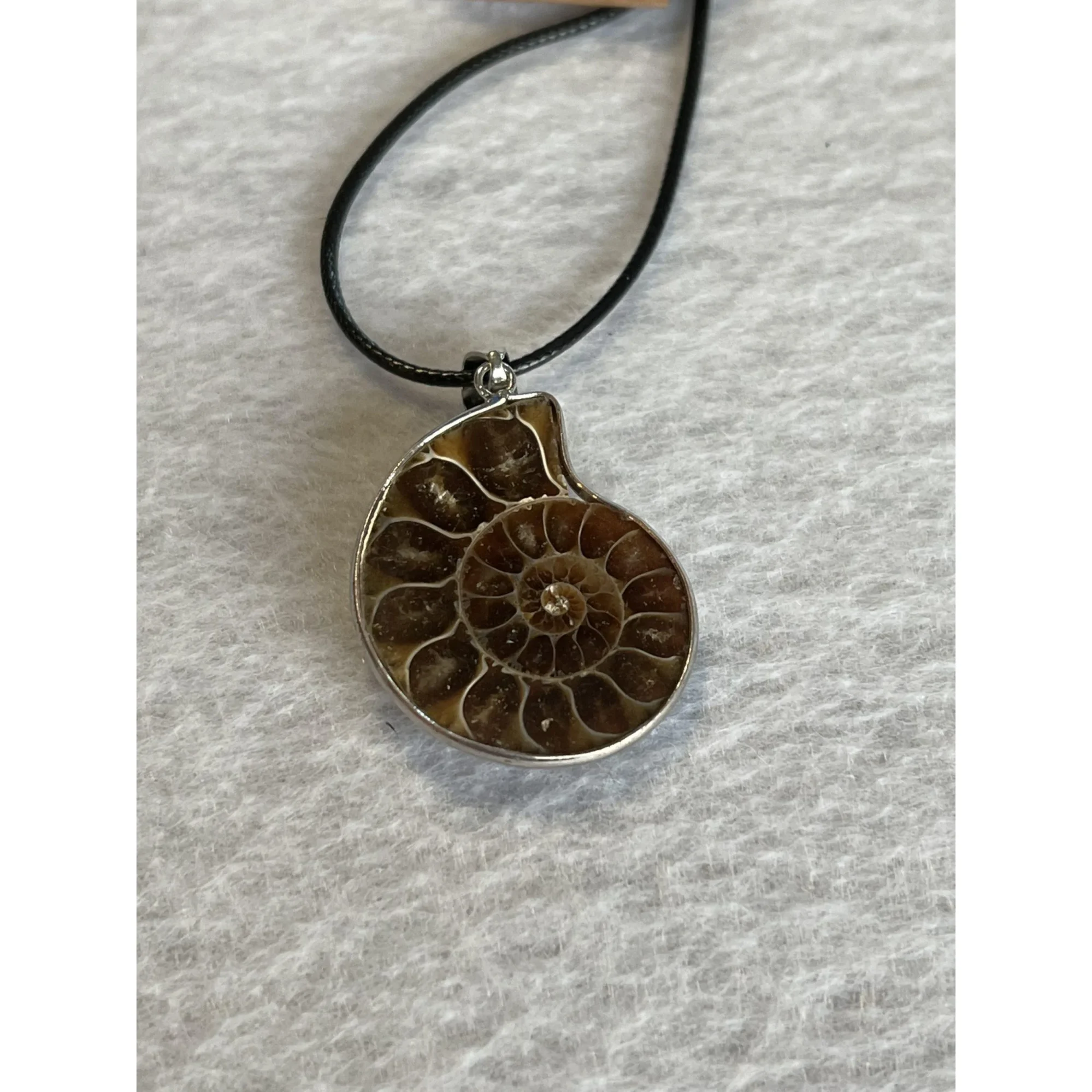 Cleoniceras  Ammonite Pendant,  18″ leather cord Prehistoric Online