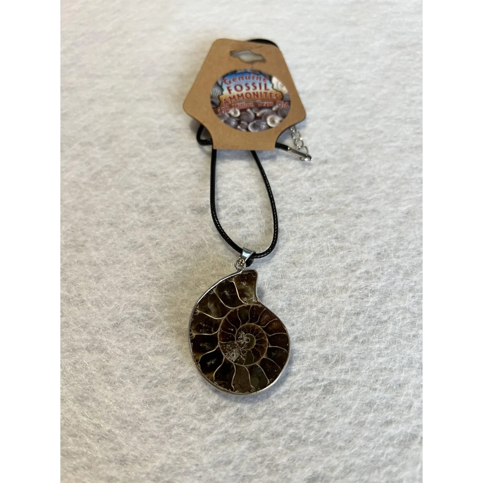 Cleoniceras  Ammonite Pendant,  18″ leather cord Prehistoric Online