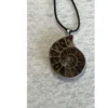 Cleoniceras  Ammonite Pendant,  18″ leather cord Prehistoric Online