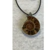 Cleoniceras  Ammonite Pendant,  18″ leather cord Prehistoric Online