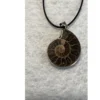 Cleoniceras  Ammonite Pendant,  18″ leather cord Prehistoric Online